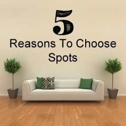 5 Reasons To Choose Spots