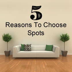Reasons Spots Carpet Care & Restoration Services is #1 in Flagstaff for carpet cleaning, rug cleaning, upholstery cleaning, tile and grout cleaning and fabric protector.