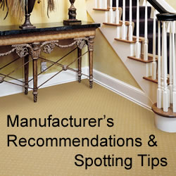 Spots Carpet Care & Restoration Services offers offers for proper care of your carpets and rugs.